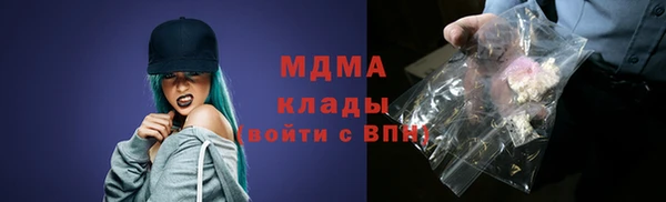 индика Вязьма